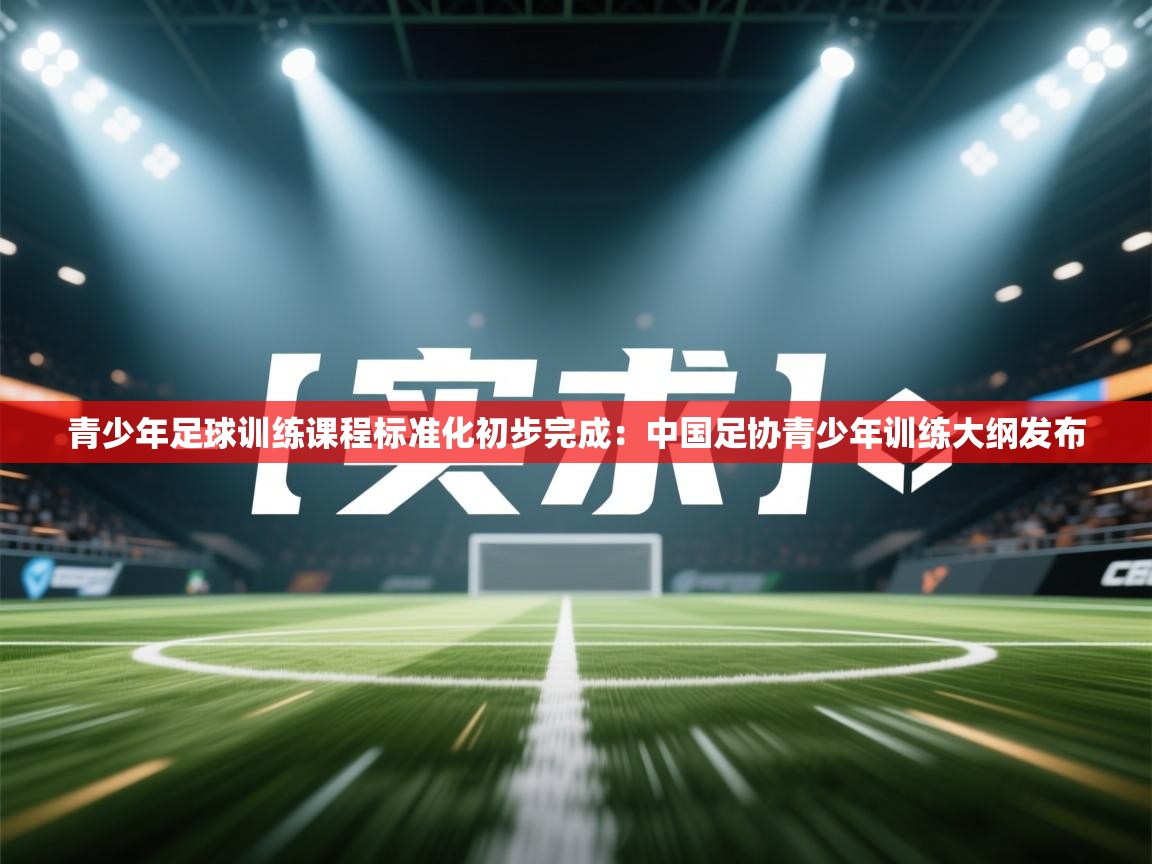 青少年足球训练课程标准化初步完成:中国足协青少年训练大纲发布 第2张